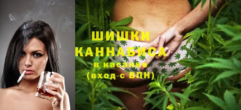 Конопля OG Kush  как найти   Кандалакша 